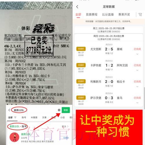 世界杯竞猜平台深度测评与用户口碑全解析